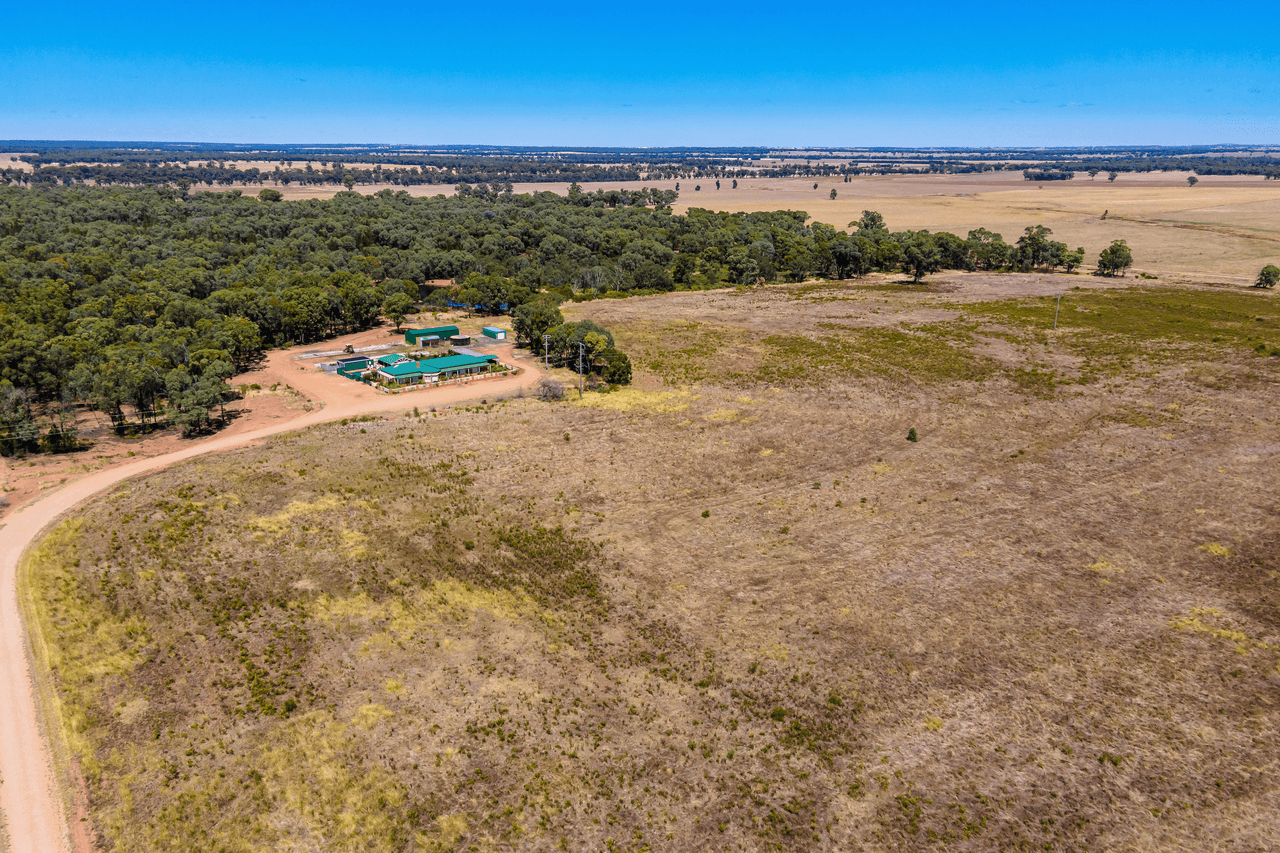 915 Thanowring Road, TEMORA, NSW 2666