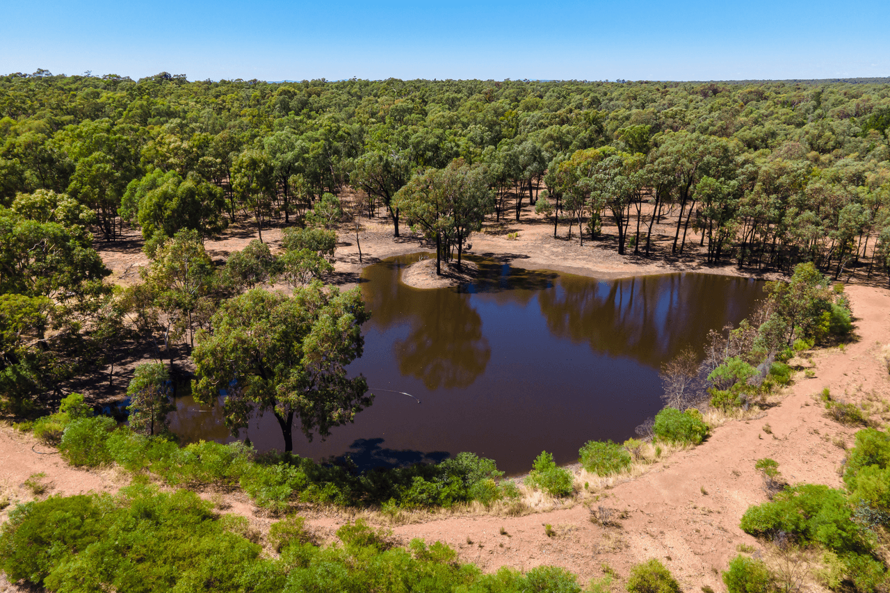 915 Thanowring Road, TEMORA, NSW 2666