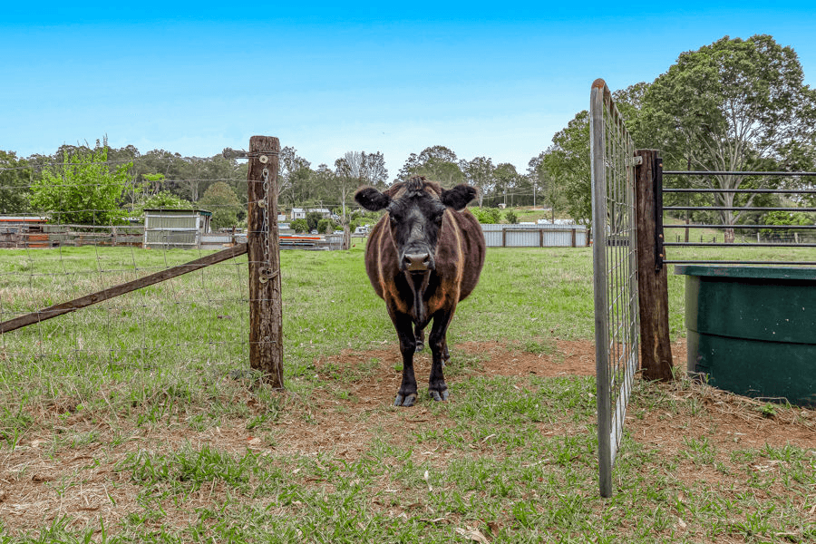 13 Samantha Drive, PIE CREEK, QLD 4570