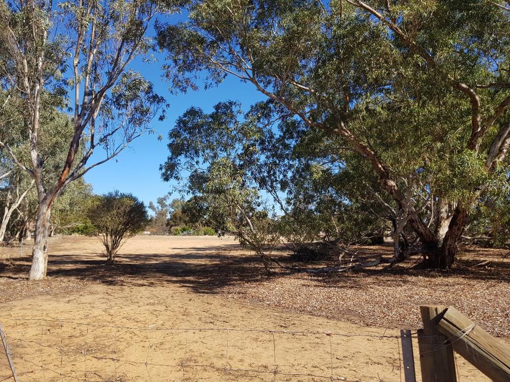 105 BADGINGARRA Road, Dandaragan, WA 6507