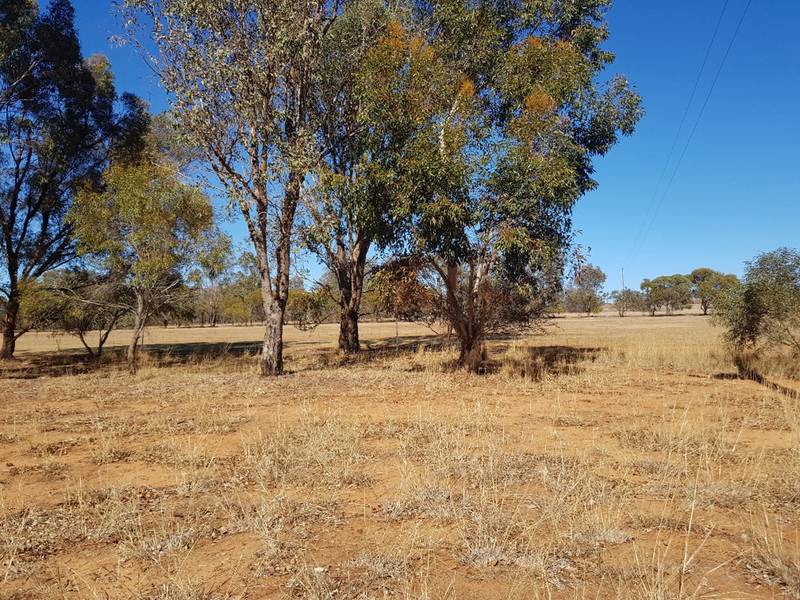 105 BADGINGARRA Road, Dandaragan, WA 6507