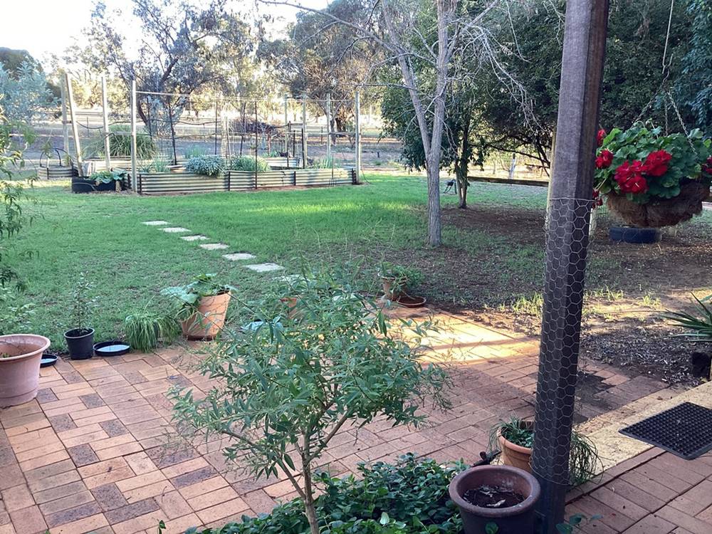 105 BADGINGARRA Road, Dandaragan, WA 6507