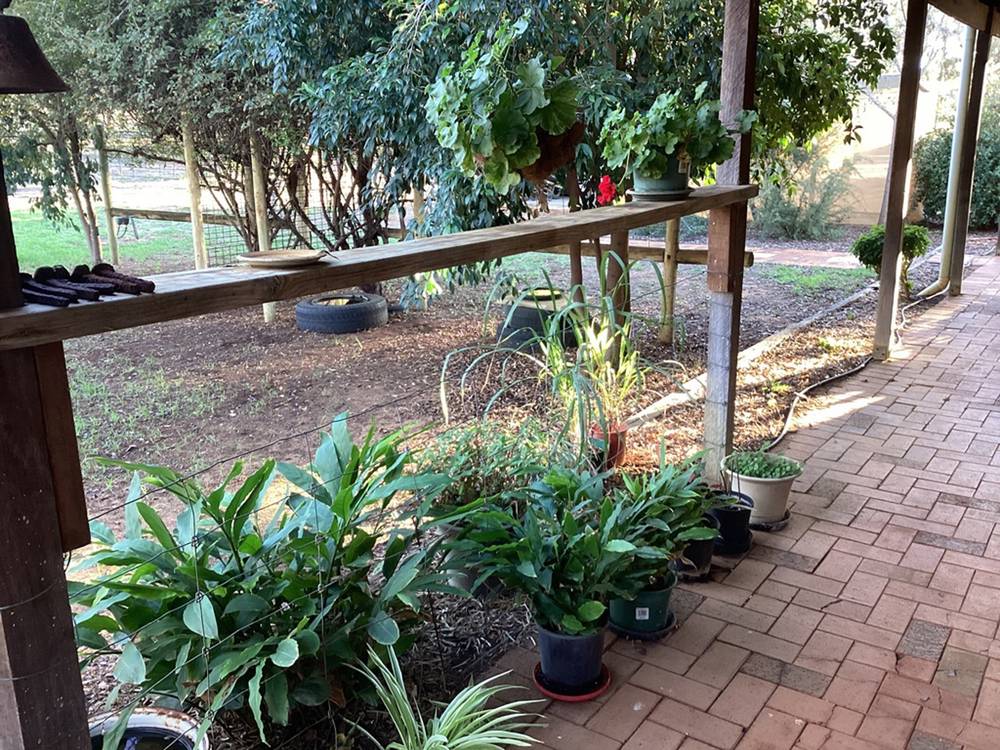 105 BADGINGARRA Road, Dandaragan, WA 6507