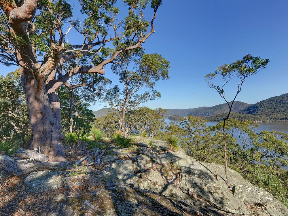 114 Kalinda Road, Bar Point, NSW 2083