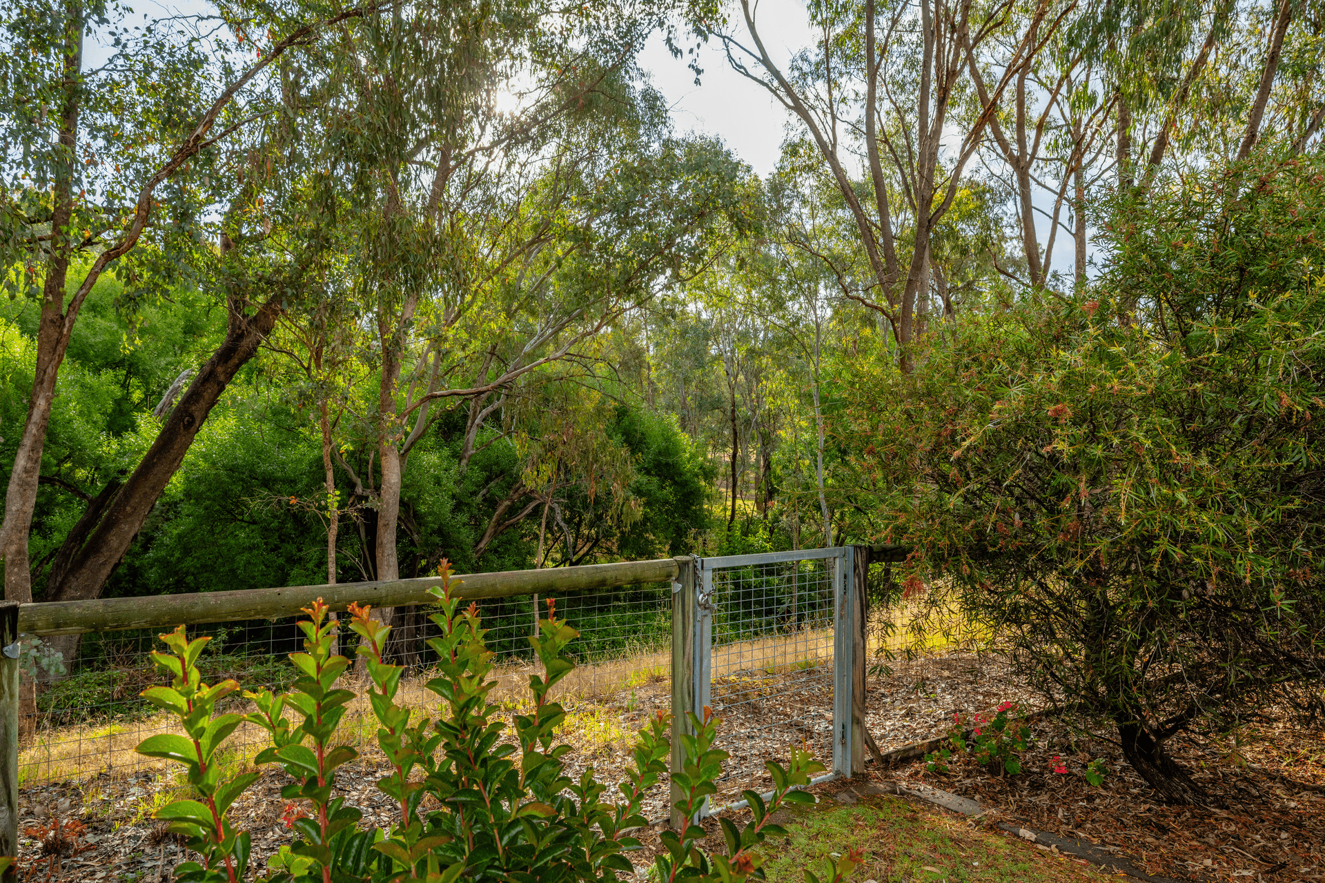 42 Golflinks Avenue, West Wodonga, VIC 3690