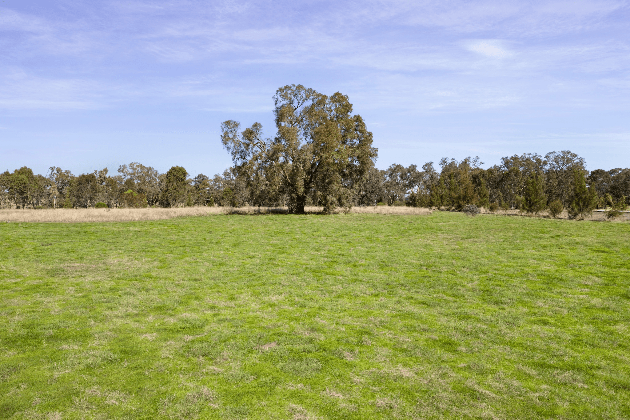 121 Lindner Road, JINDERA, NSW 2642