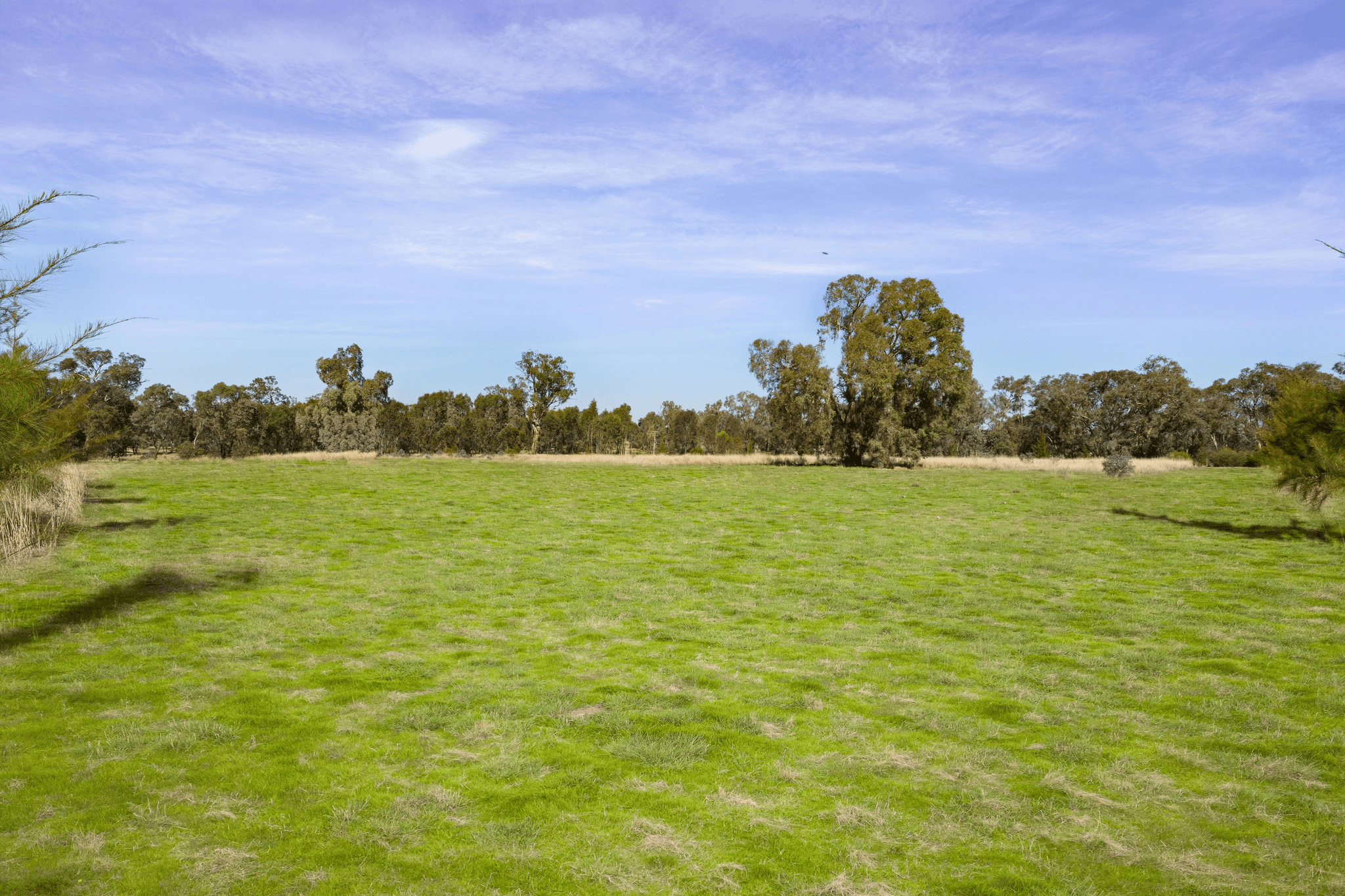 121 Lindner Road, JINDERA, NSW 2642