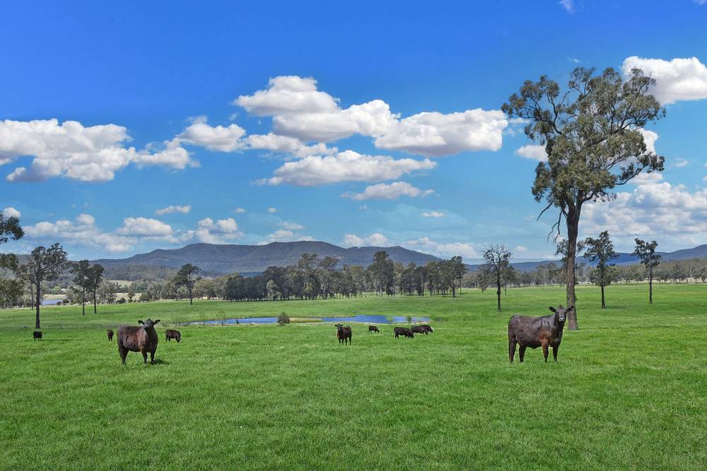 150 Listers Lane, Congewai, NSW 2325