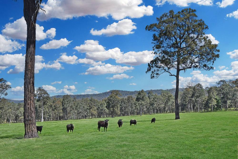 150 Listers Lane, Congewai, NSW 2325
