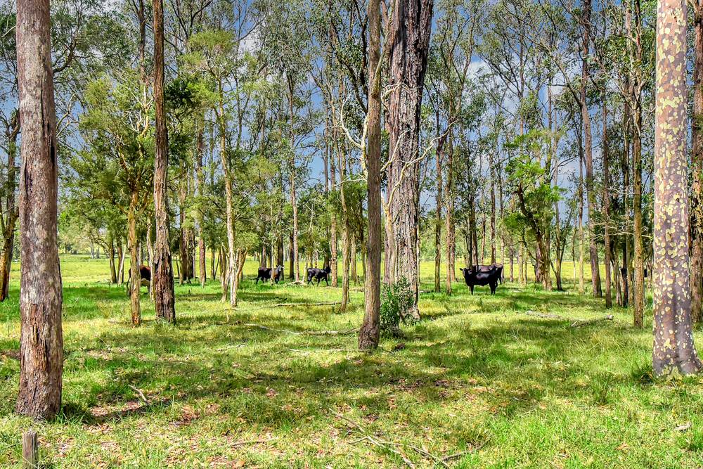 150 Listers Lane, Congewai, NSW 2325