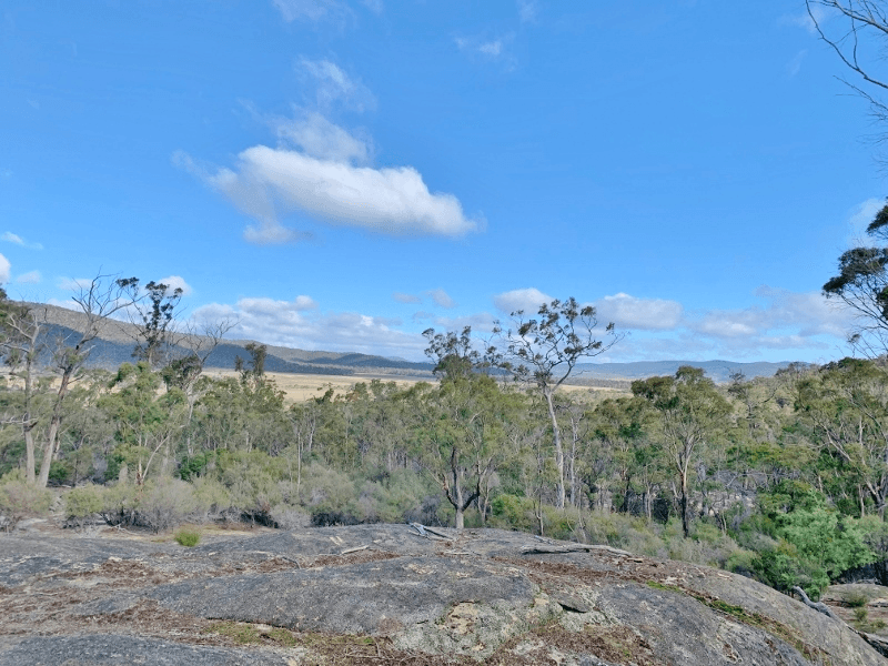 Lot 3 Leona Road, AVOCA, TAS 7213