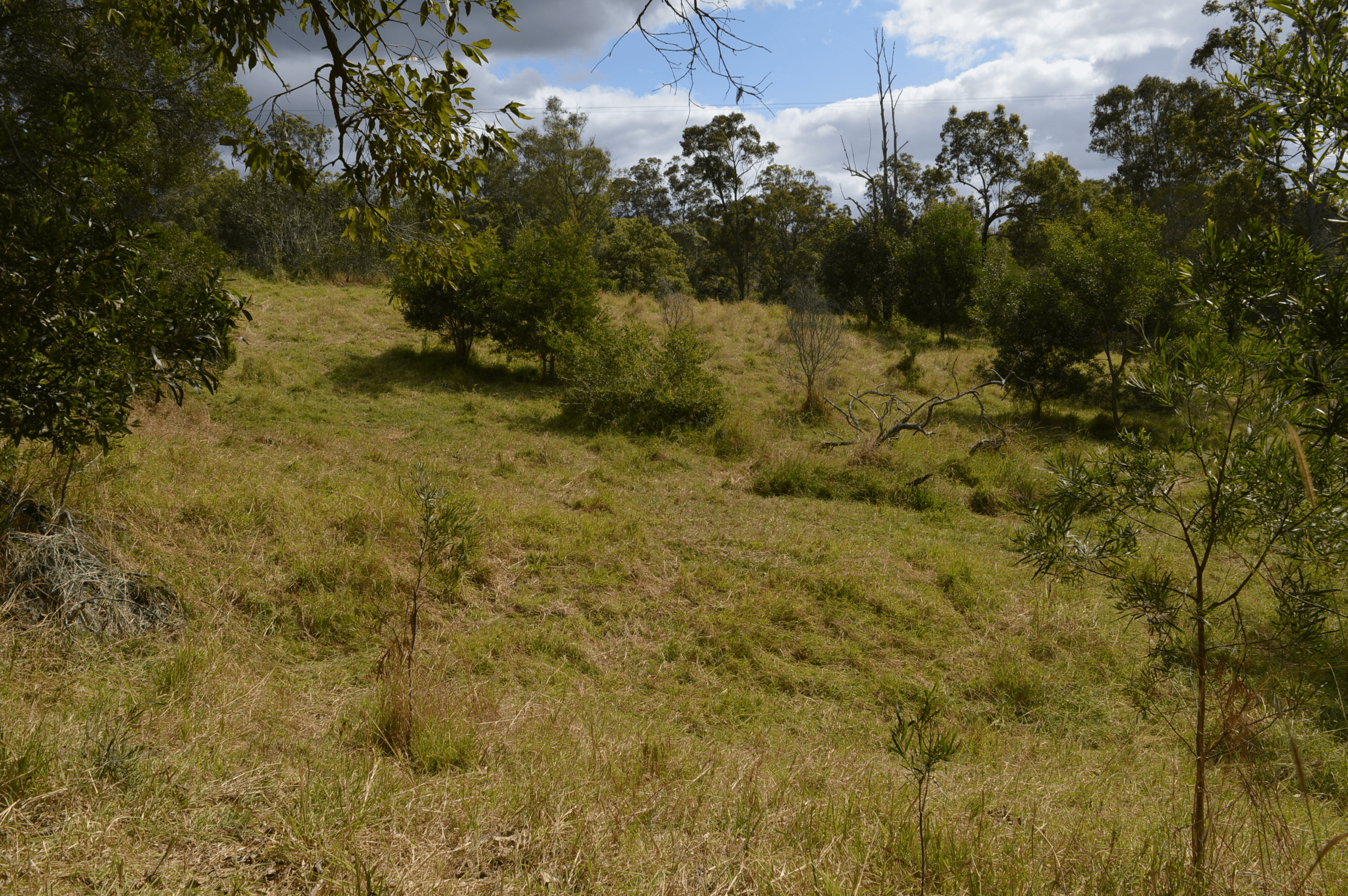 101 AHERNS ROAD, CONONDALE, QLD 4552