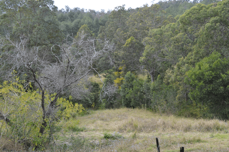 101 AHERNS ROAD, CONONDALE, QLD 4552