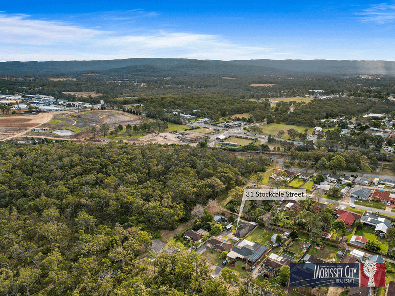 31 Stockdale Street, MORISSET, NSW 2264