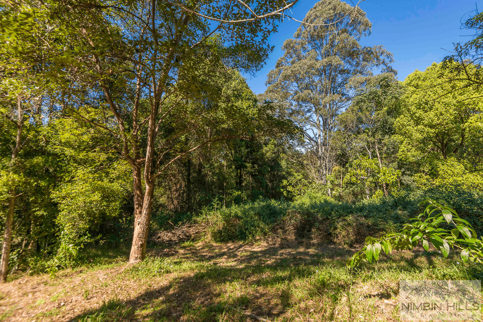 15a / 94 Symonds Road, BLUE KNOB, NSW 2480