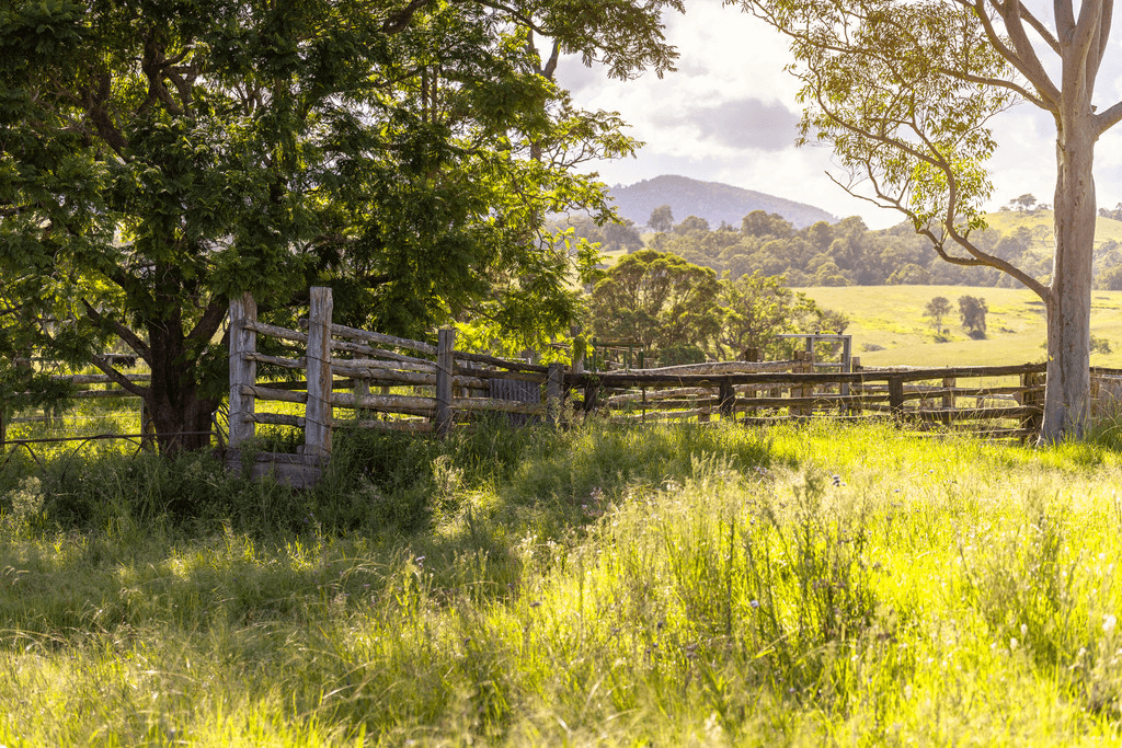 2732 The Bucketts Way, BELBORA, NSW 2422