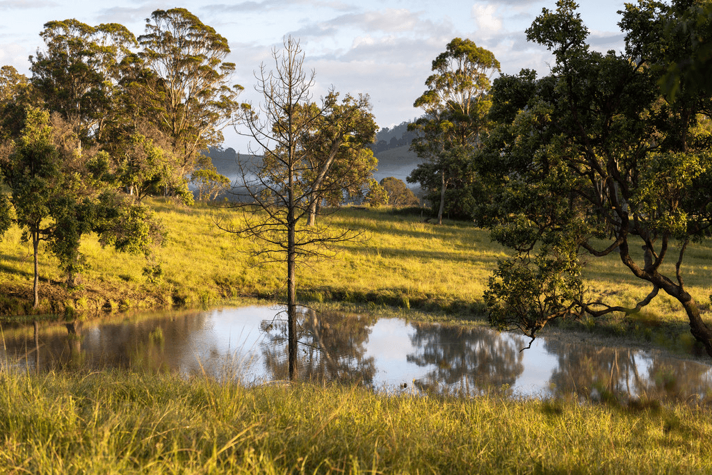 2732 The Bucketts Way, BELBORA, NSW 2422