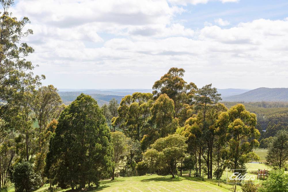582 Golconda Road, Lilydale, TAS 7268