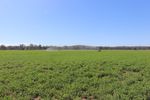 244 A Creek Road, EIDSVOLD, QLD 4627