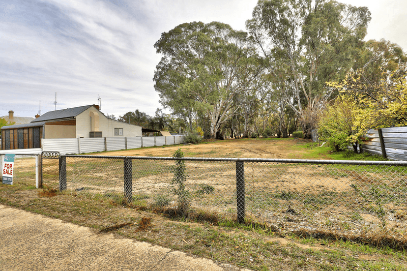 119 Davidson Street, DENILIQUIN, NSW 2710