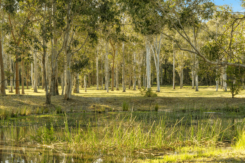 619 Mandalong Road, MANDALONG, NSW 2264