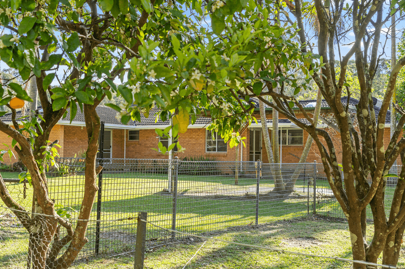 619 Mandalong Road, MANDALONG, NSW 2264