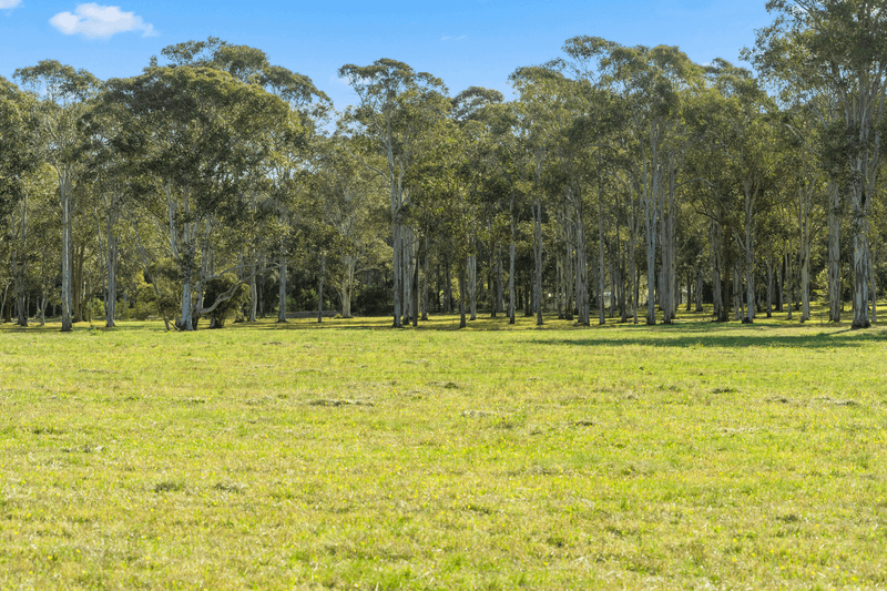 619 Mandalong Road, MANDALONG, NSW 2264