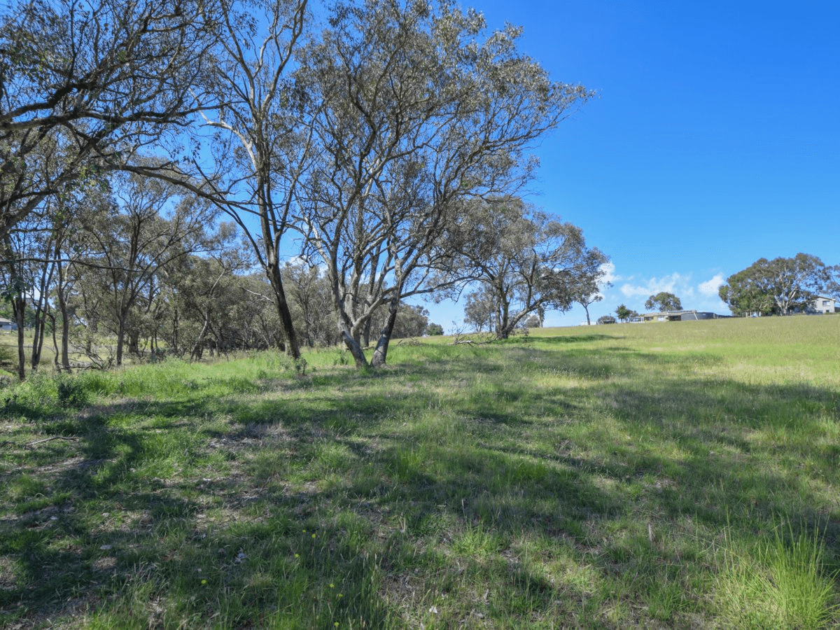 3290 Moppity Road, YOUNG, NSW 2594