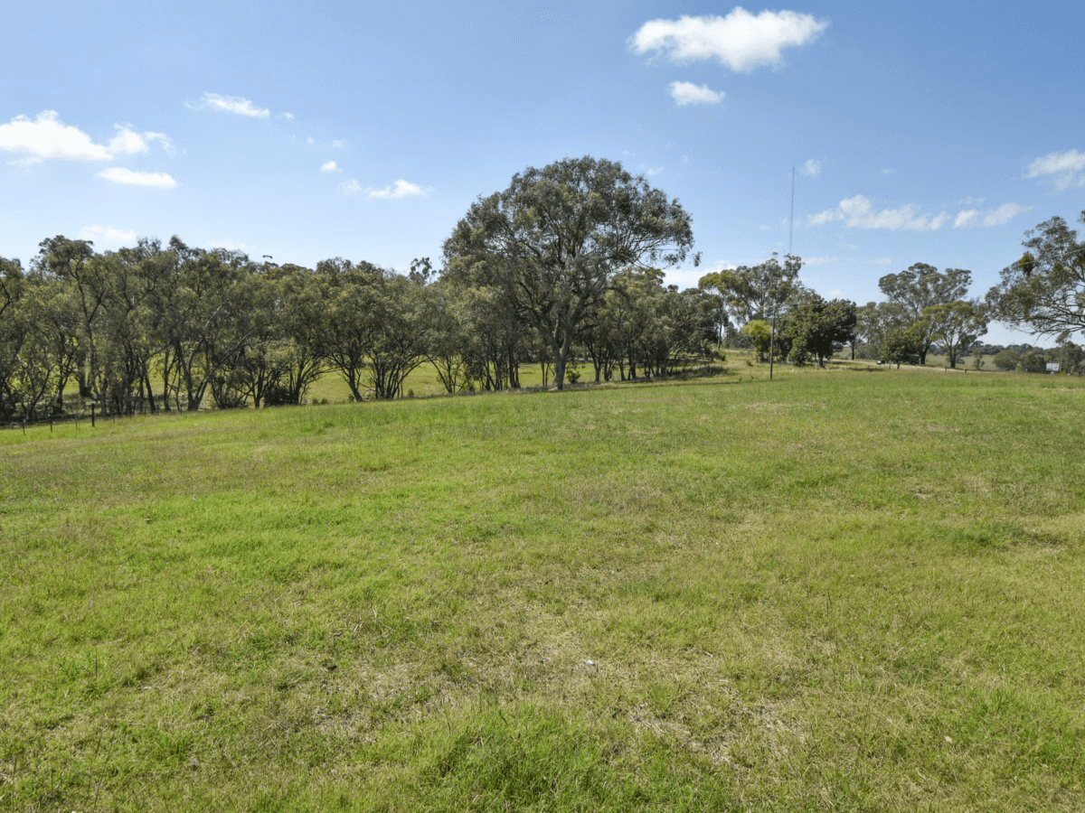 3290 Moppity Road, YOUNG, NSW 2594