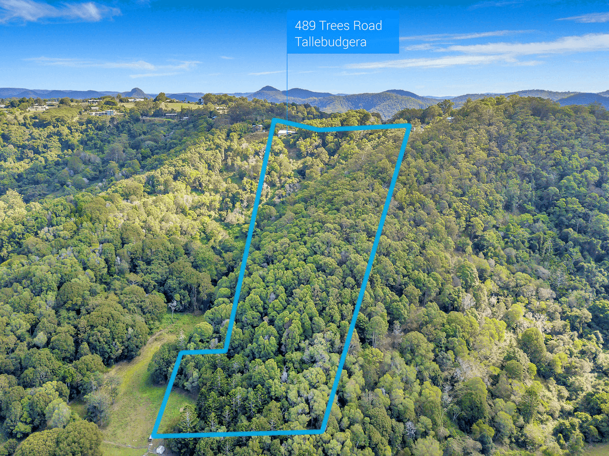 489 Trees Road, Tallebudgera, QLD 4228