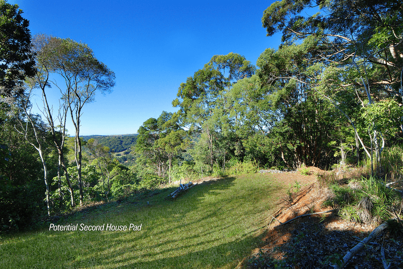 489 Trees Road, Tallebudgera, QLD 4228