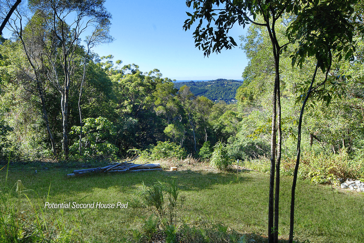 489 Trees Road, Tallebudgera, QLD 4228