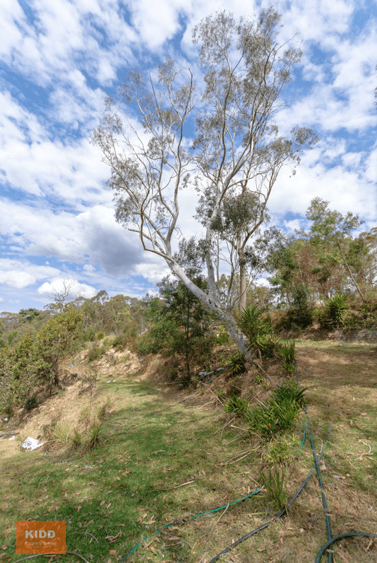 70 Orpen Road, BUCKETTY, NSW 2250