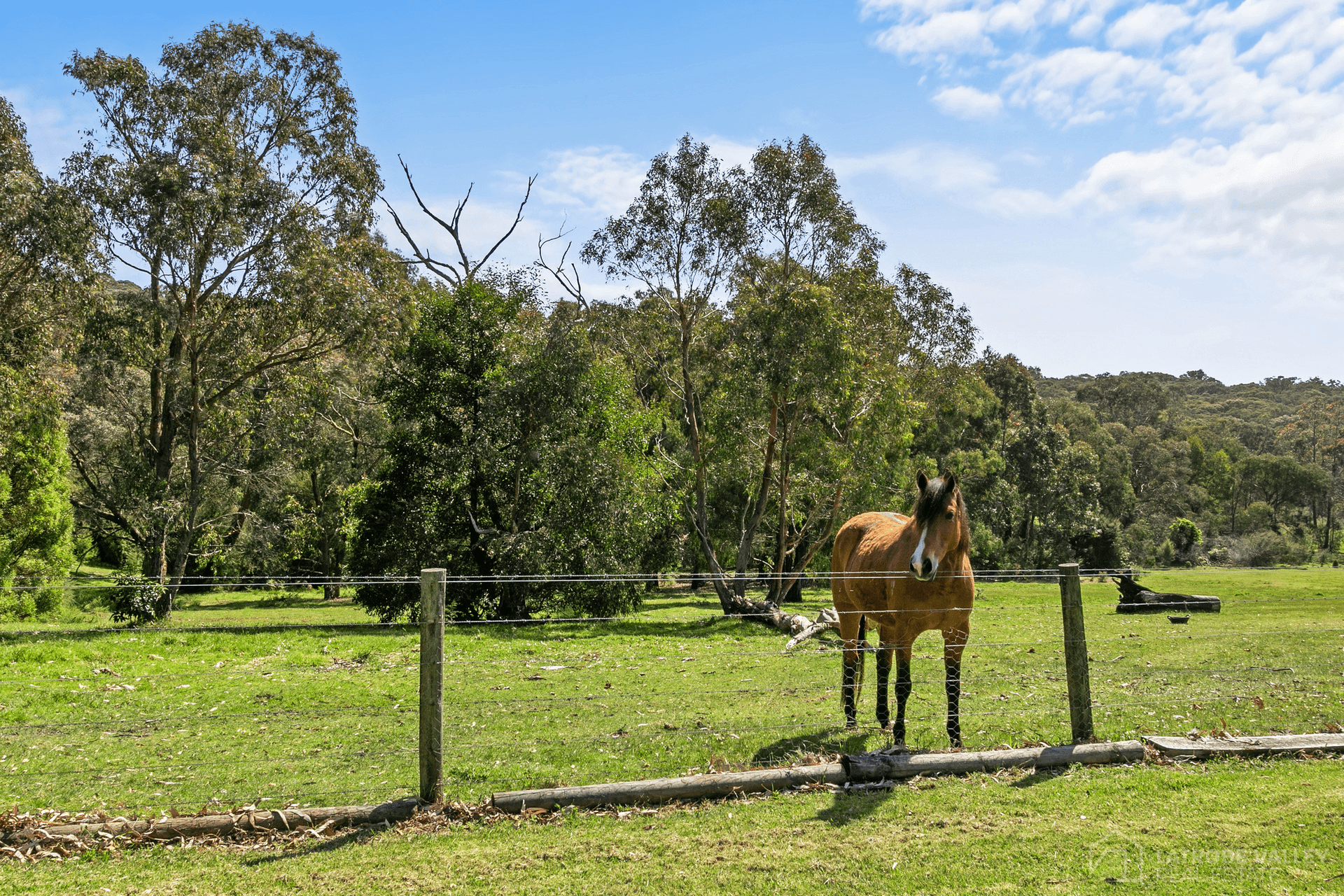 75 Powers Road, Callignee, VIC 3844