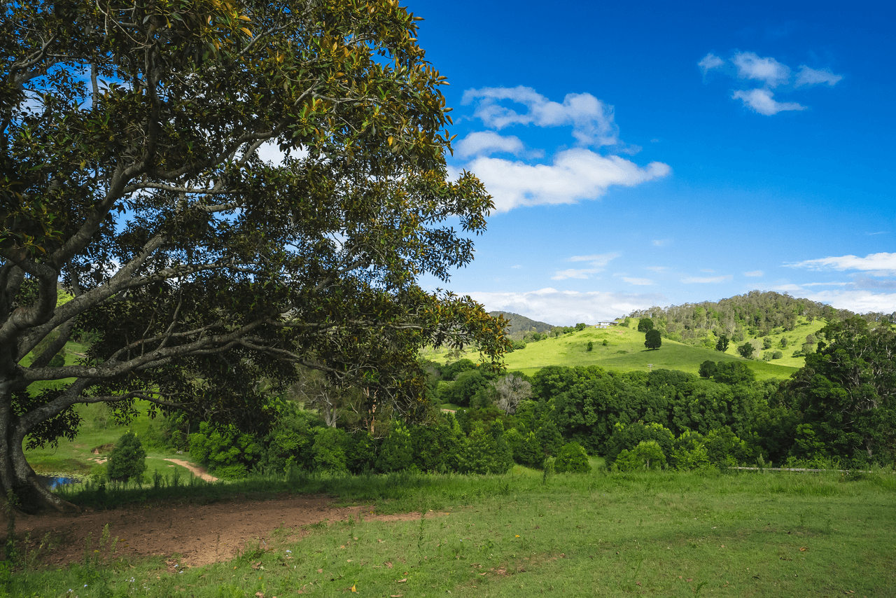 59 Ironstone Creek Road, TUCHEKOI, QLD 4570