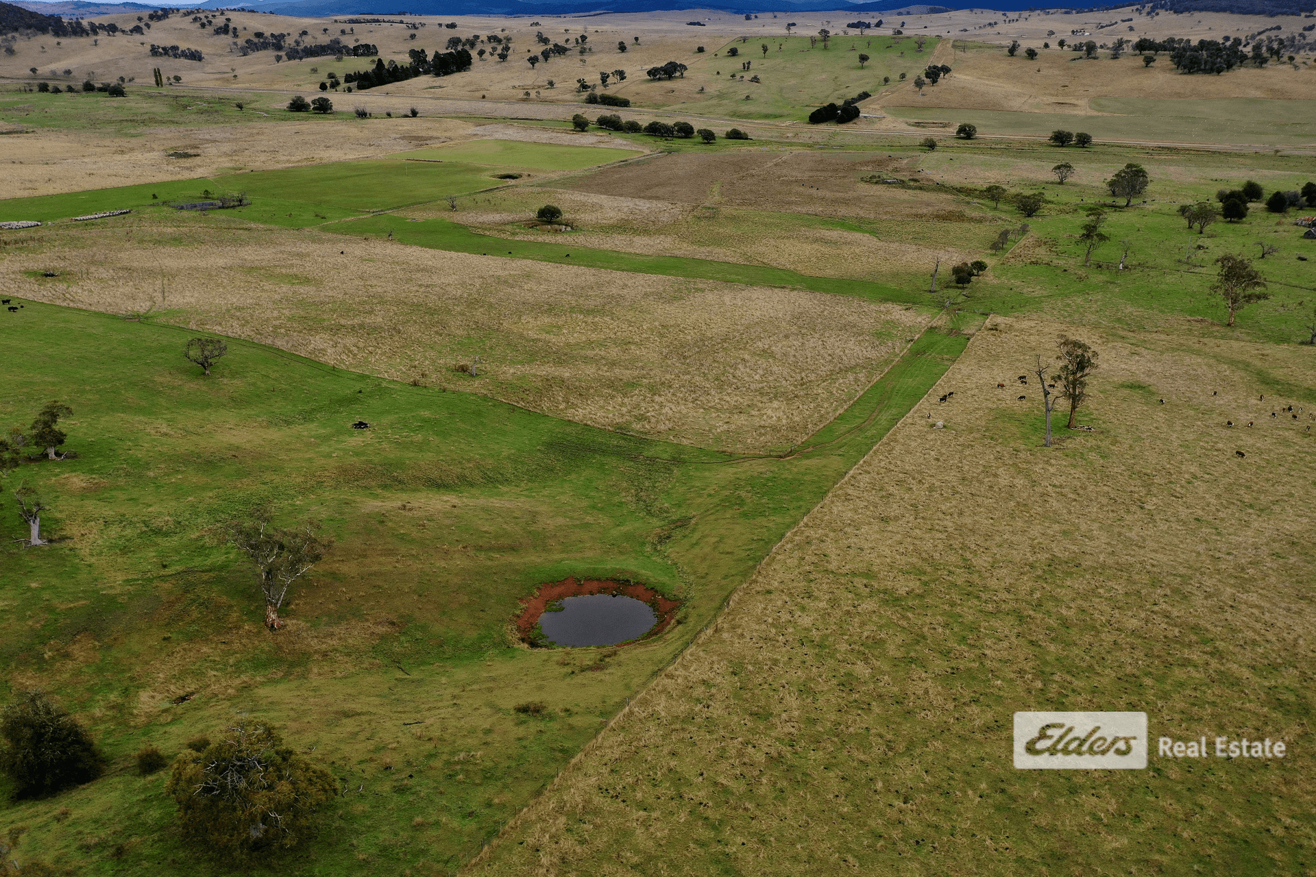 334B Dyer Access Road, Benambra, VIC 3900