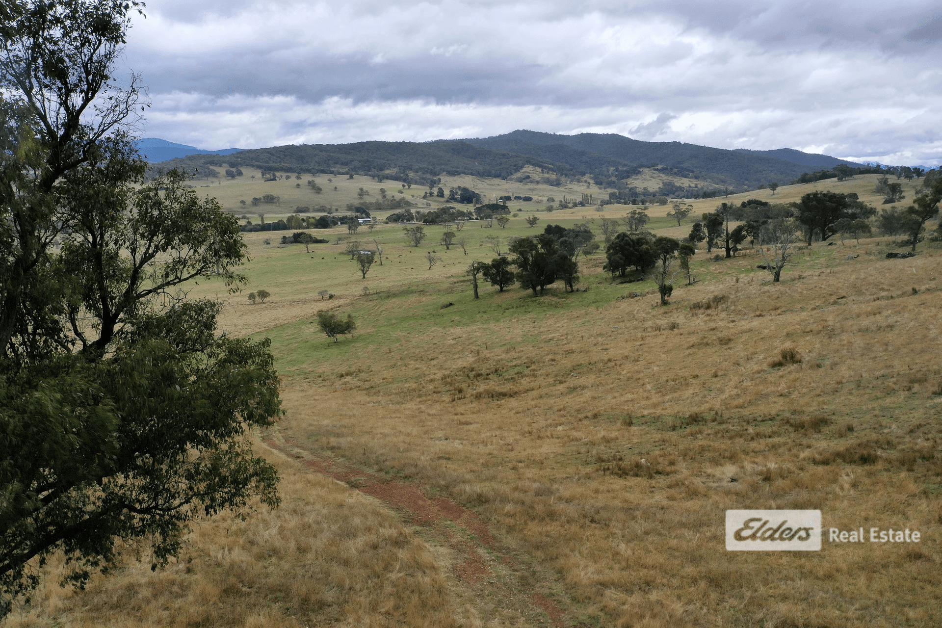 334B Dyer Access Road, Benambra, VIC 3900