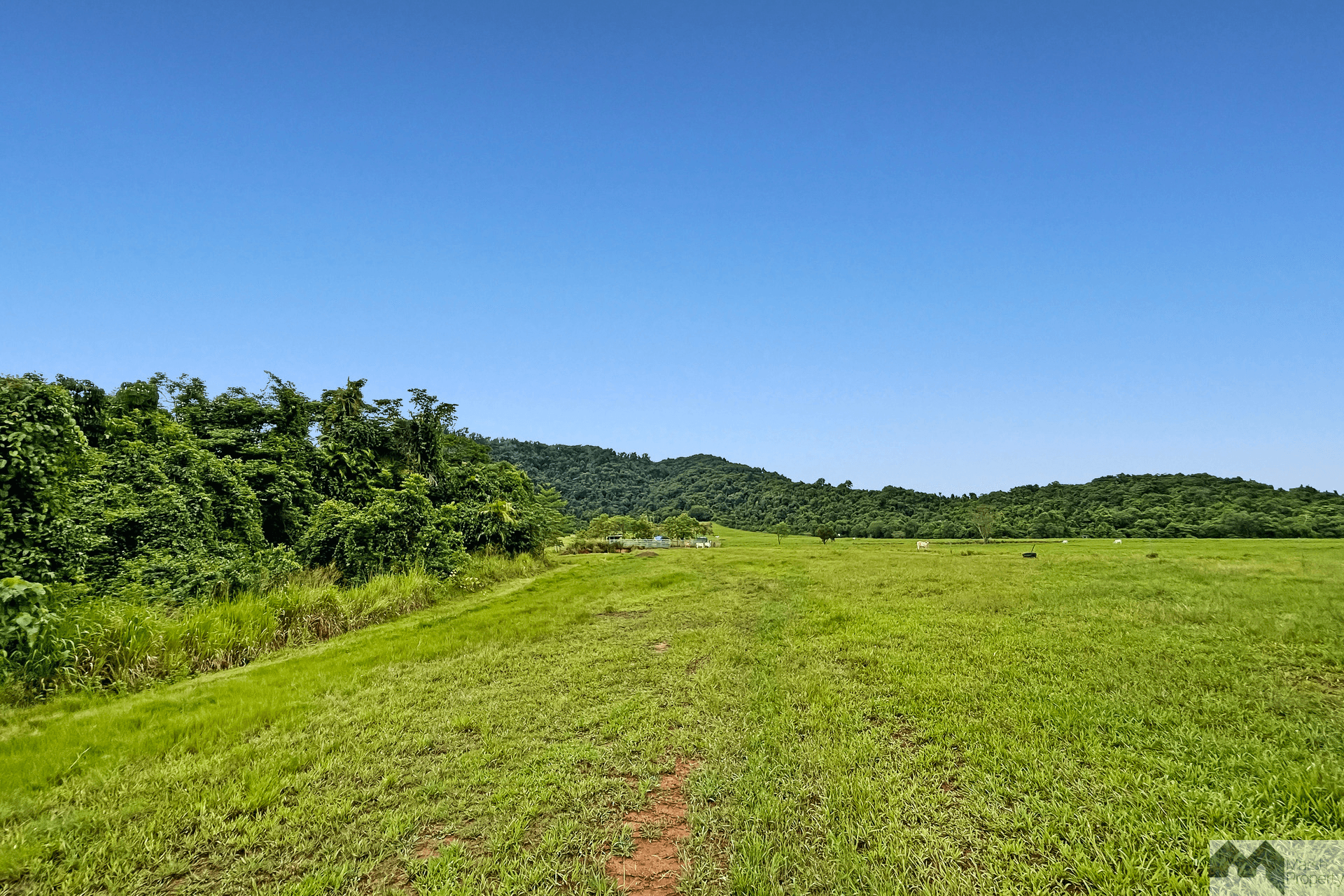 Meuanbah Road, Bombeeta, QLD 4871