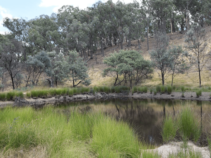 7 Birradilli Lane, MURRUMBATEMAN, NSW 2582