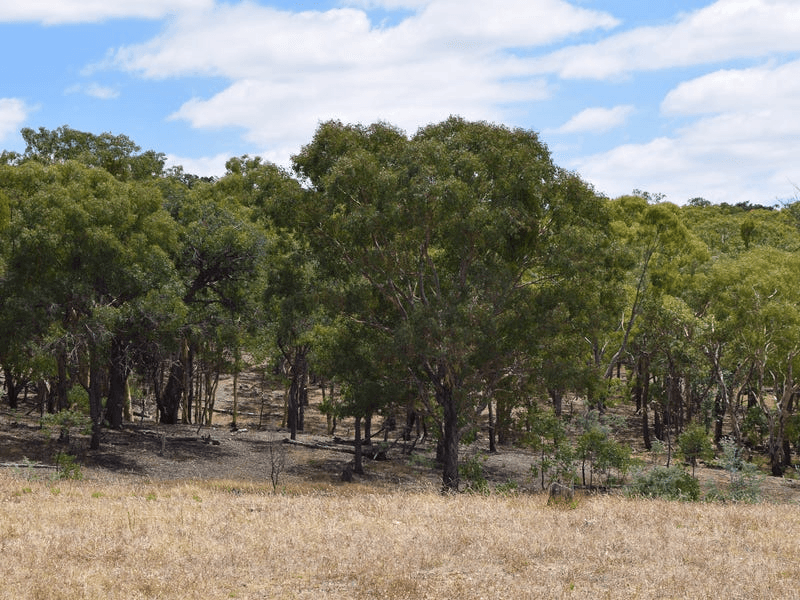 7 Birradilli Lane, MURRUMBATEMAN, NSW 2582