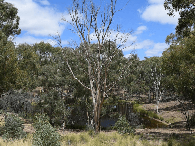 7 Birradilli Lane, MURRUMBATEMAN, NSW 2582