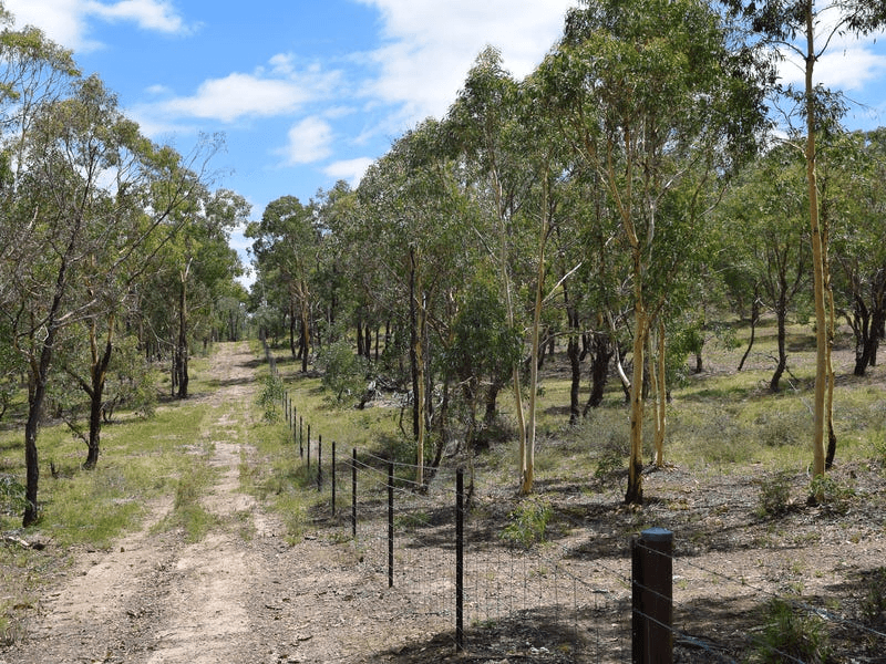 7 Birradilli Lane, MURRUMBATEMAN, NSW 2582