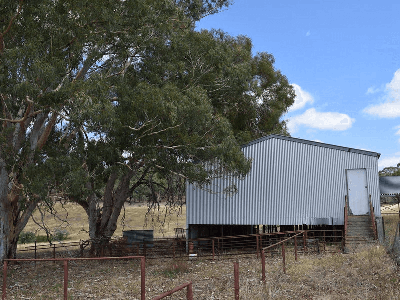 7 Birradilli Lane, MURRUMBATEMAN, NSW 2582