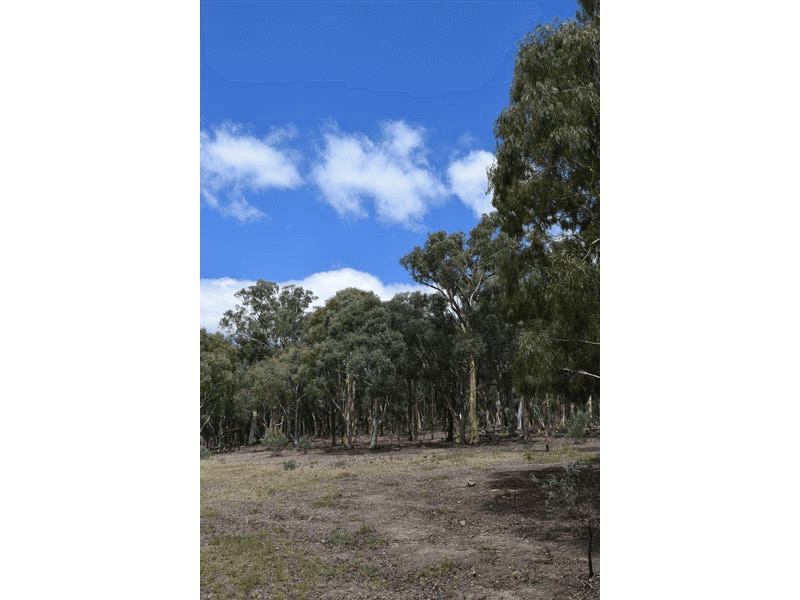 7 Birradilli Lane, MURRUMBATEMAN, NSW 2582