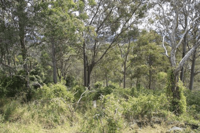 Lot 1 Noakes Road, TRAVESTON, QLD 4570