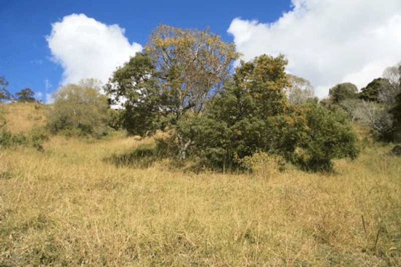 Lot 1 Noakes Road, TRAVESTON, QLD 4570