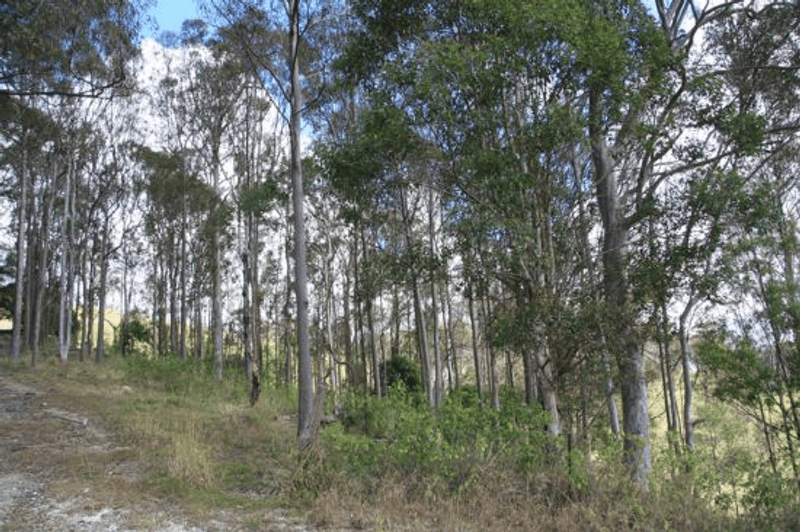 Lot 1 Noakes Road, TRAVESTON, QLD 4570