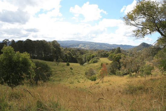 Lot 1 Noakes Road, TRAVESTON, QLD 4570