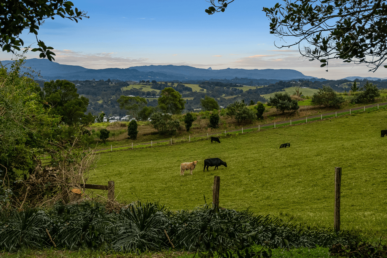 37 Wiley Road, BANGALOW, NSW 2479