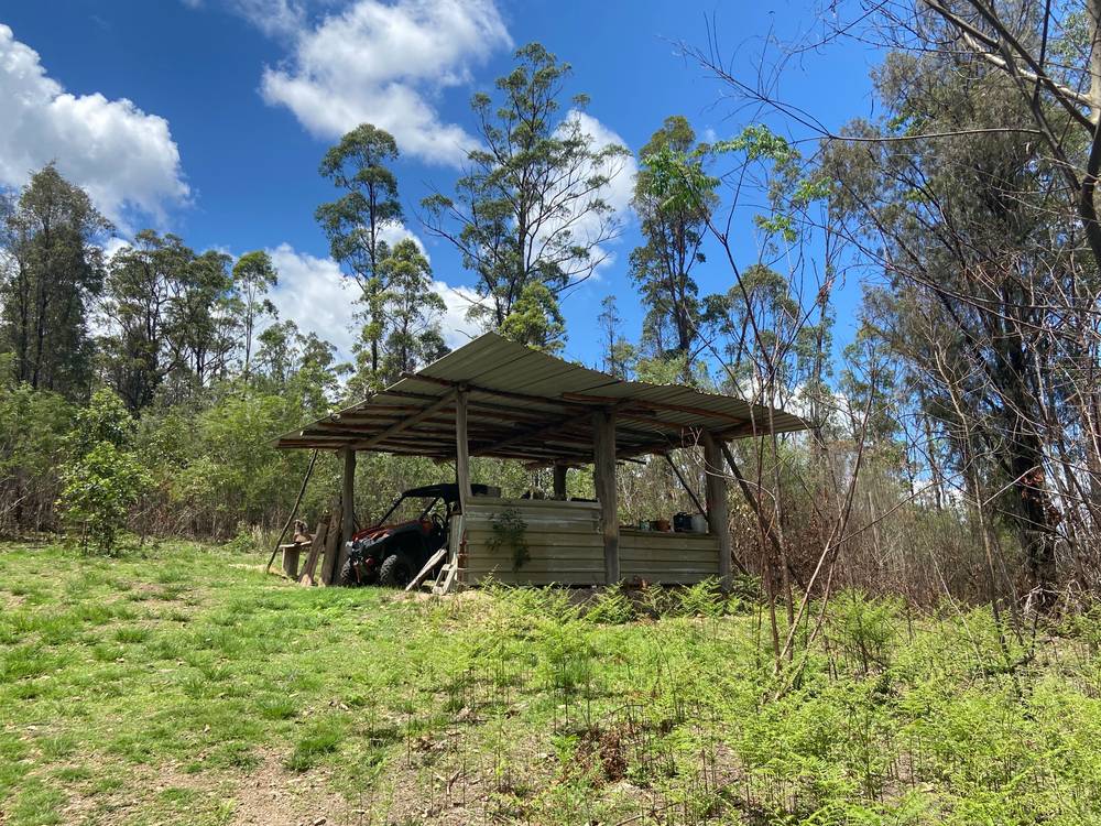 667 TOORUMBEE ROAD, MOPARRABAH, NSW 2440